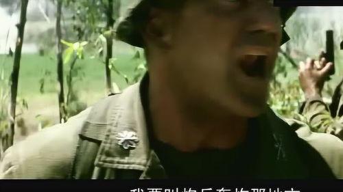 深夜电影在线观看八哥,八哥带你畅游在线观影世界